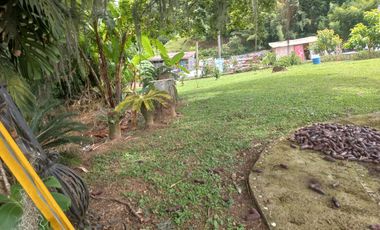 VENDO FINCA DE UNA HECTÁREA ENTRE GIRARDOTA Y BARBOSA ANTIOQUIA