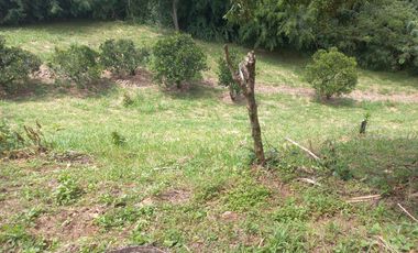 VENDO FINCA DE UNA HECTÁREA ENTRE GIRARDOTA Y BARBOSA ANTIOQUIA