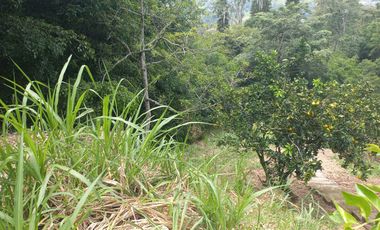 VENDO FINCA DE UNA HECTÁREA ENTRE GIRARDOTA Y BARBOSA ANTIOQUIA