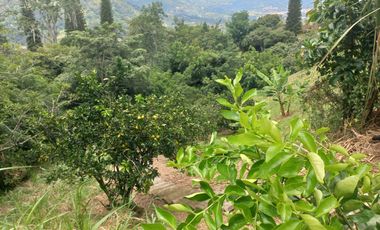 VENDO FINCA DE UNA HECTÁREA ENTRE GIRARDOTA Y BARBOSA ANTIOQUIA