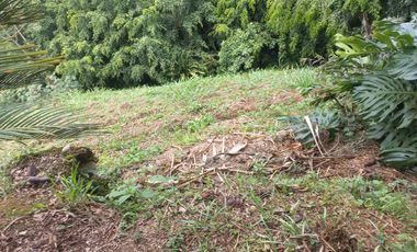 VENDO FINCA DE UNA HECTÁREA ENTRE GIRARDOTA Y BARBOSA ANTIOQUIA