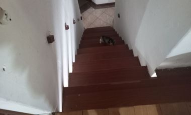 VENDO FINCA DE UNA HECTÁREA ENTRE GIRARDOTA Y BARBOSA ANTIOQUIA