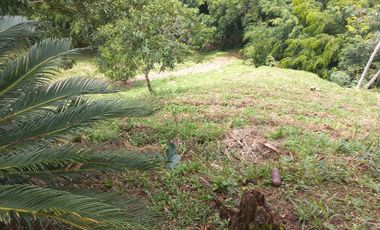 VENDO FINCA DE UNA HECTÁREA ENTRE GIRARDOTA Y BARBOSA ANTIOQUIA