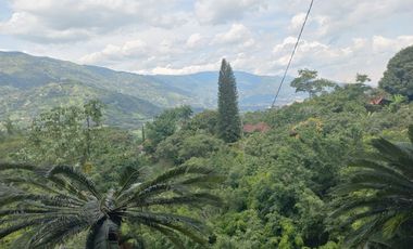 VENDO FINCA DE UNA HECTÁREA ENTRE GIRARDOTA Y BARBOSA ANTIOQUIA