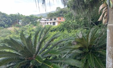 VENDO FINCA DE UNA HECTÁREA ENTRE GIRARDOTA Y BARBOSA ANTIOQUIA