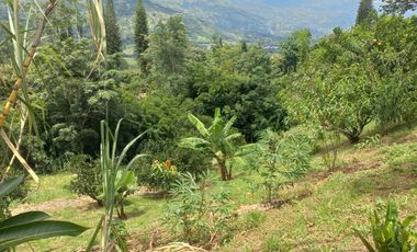 VENDO FINCA DE UNA HECTÁREA ENTRE GIRARDOTA Y BARBOSA ANTIOQUIA