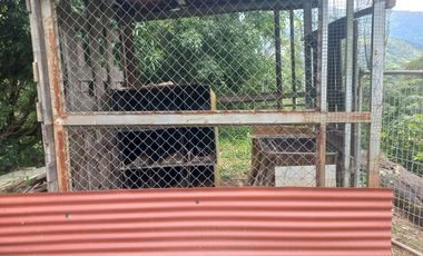 VENDO FINCA DE UNA HECTÁREA ENTRE GIRARDOTA Y BARBOSA ANTIOQUIA
