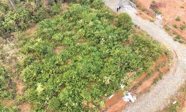 Terreno a pasos de la rotonda Torobayo $ 140.000.000.-