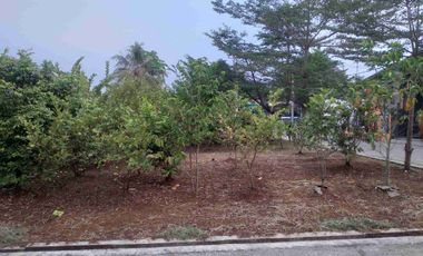 rumah muslim terbaik di ciomas bogor