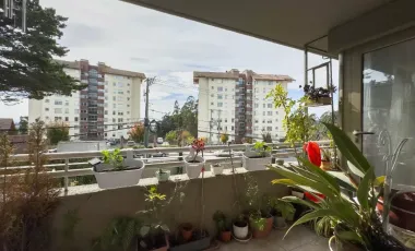 Exclusivo Departamento En Andalué