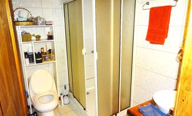 Parcela 5000 mt2 Chancoyan bajo, 2 casas $ 155.000.000.