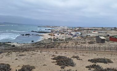 Venta Terreno Punta Choros 1 Hectárea