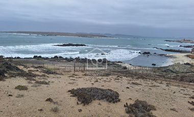 Venta Terreno Punta Choros 1 Hectárea