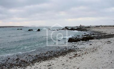 Venta Terreno Punta Choros 1 Hectárea