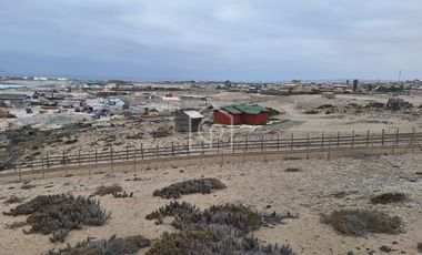 Venta Terreno Punta Choros 1 Hectárea