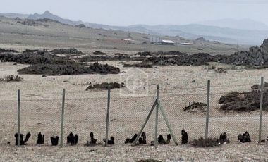 Venta Terreno Punta Choros 1 Hectárea