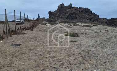 Venta Terreno Punta Choros 1 Hectárea