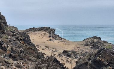 Venta Terreno Punta Choros 1 Hectárea