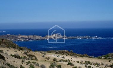 Venta Terreno Punta Choros 1 Hectárea