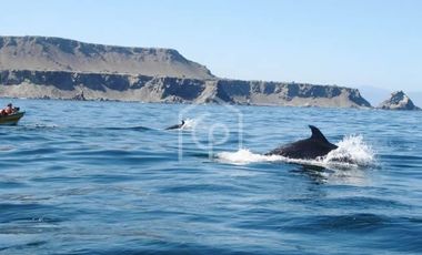 Venta Terreno Punta Choros 1 Hectárea