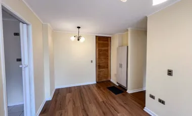 Departamento En Edificio Mar Del Sur