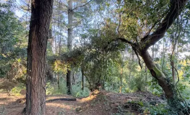 Terreno En Sector El Llano
