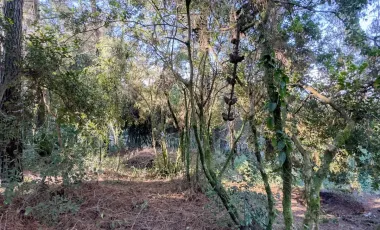Terreno En Sector El Llano