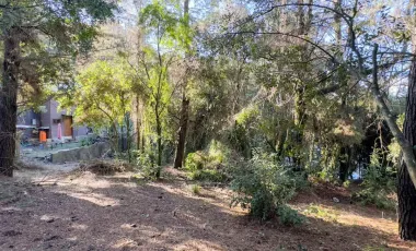 Terreno En Sector El Llano