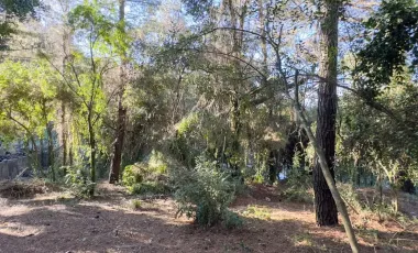 Terreno En Sector El Llano