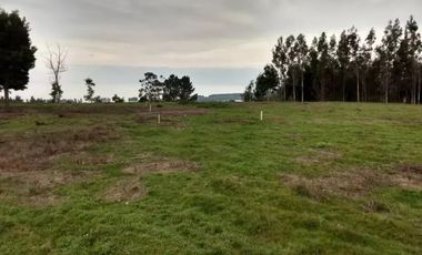 Terreno En Curaquilla, Arauco Con Vista Al Mar