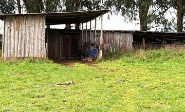 Parcela en el Salto Comuna de los Lagos 5000mt2 $ 70.000.000.