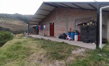EN MIRA, VENDO PROPIEDAD, 4 HAS, CASA,SEMBRIOS AGUACATE EN PRODUCCION