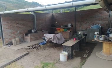 EN MIRA, VENDO PROPIEDAD, 4 HAS, CASA,SEMBRIOS AGUACATE EN PRODUCCION