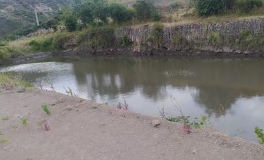 EN MIRA, VENDO PROPIEDAD, 4 HAS, CASA,SEMBRIOS AGUACATE EN PRODUCCION