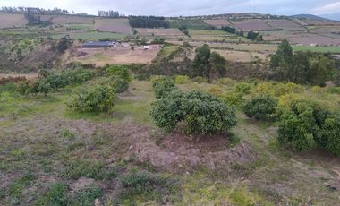 EN MIRA, VENDO PROPIEDAD, 4 HAS, CASA,SEMBRIOS AGUACATE EN PRODUCCION