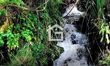 Hacienda de Lujo de 60 ha en Venta, a 20 min del Aeropuerto de Quito, Ecuador
