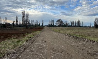 Parcelas 5.000M2 km 21 camino a Termas de Chillán, Pinto