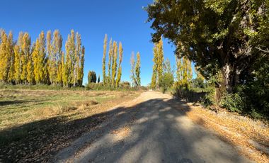 Parcelas 5.000M2 km 21 camino a Termas de Chillán, Pinto