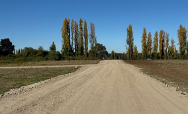 Parcelas 5.000M2 km 21 camino a Termas de Chillán, Pinto