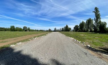 Parcelas 5.000M2 sector Las Quilas, Pueblo Seco