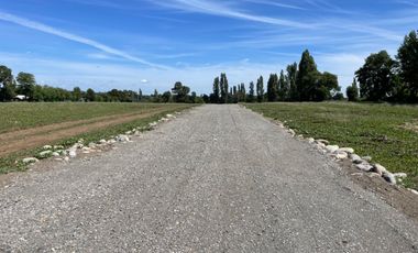 Parcelas 5.000M2 sector Las Quilas, Pueblo Seco