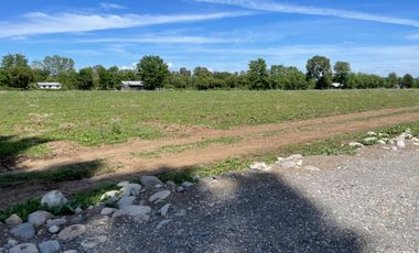 Parcelas 5.000M2 sector Las Quilas, Pueblo Seco