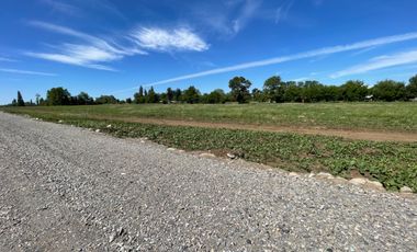 Parcelas 5.000M2 sector Las Quilas, Pueblo Seco