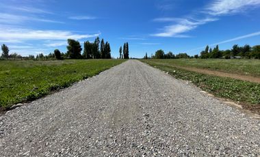 Parcelas 5.000M2 sector Las Quilas, Pueblo Seco