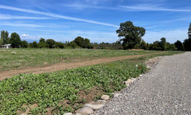 Parcelas 5.000M2 sector Las Quilas, Pueblo Seco