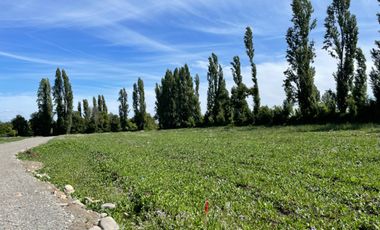 Parcelas 5.000M2 sector Las Quilas, Pueblo Seco