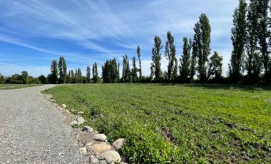 Parcelas 5.000M2 sector Las Quilas, Pueblo Seco