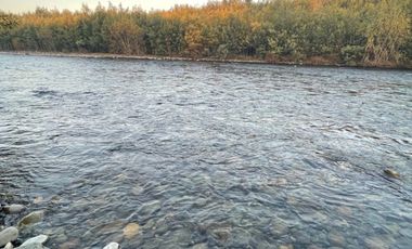 Parcelas 5.000M2 sector Las Quilas, Pueblo Seco