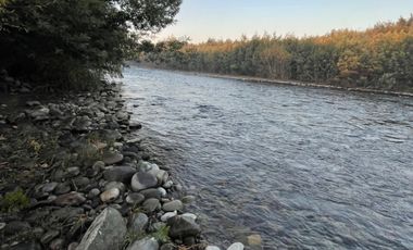 Parcelas 5.000M2 sector Las Quilas, Pueblo Seco