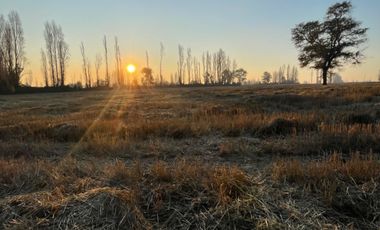 Parcelas 5.000M2 sector Las Quilas, Pueblo Seco
